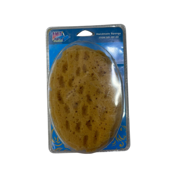 Sea sponge